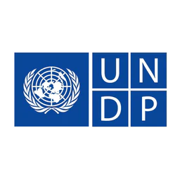 Logo UNDP