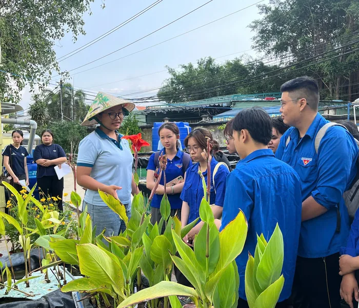 Dự án 01