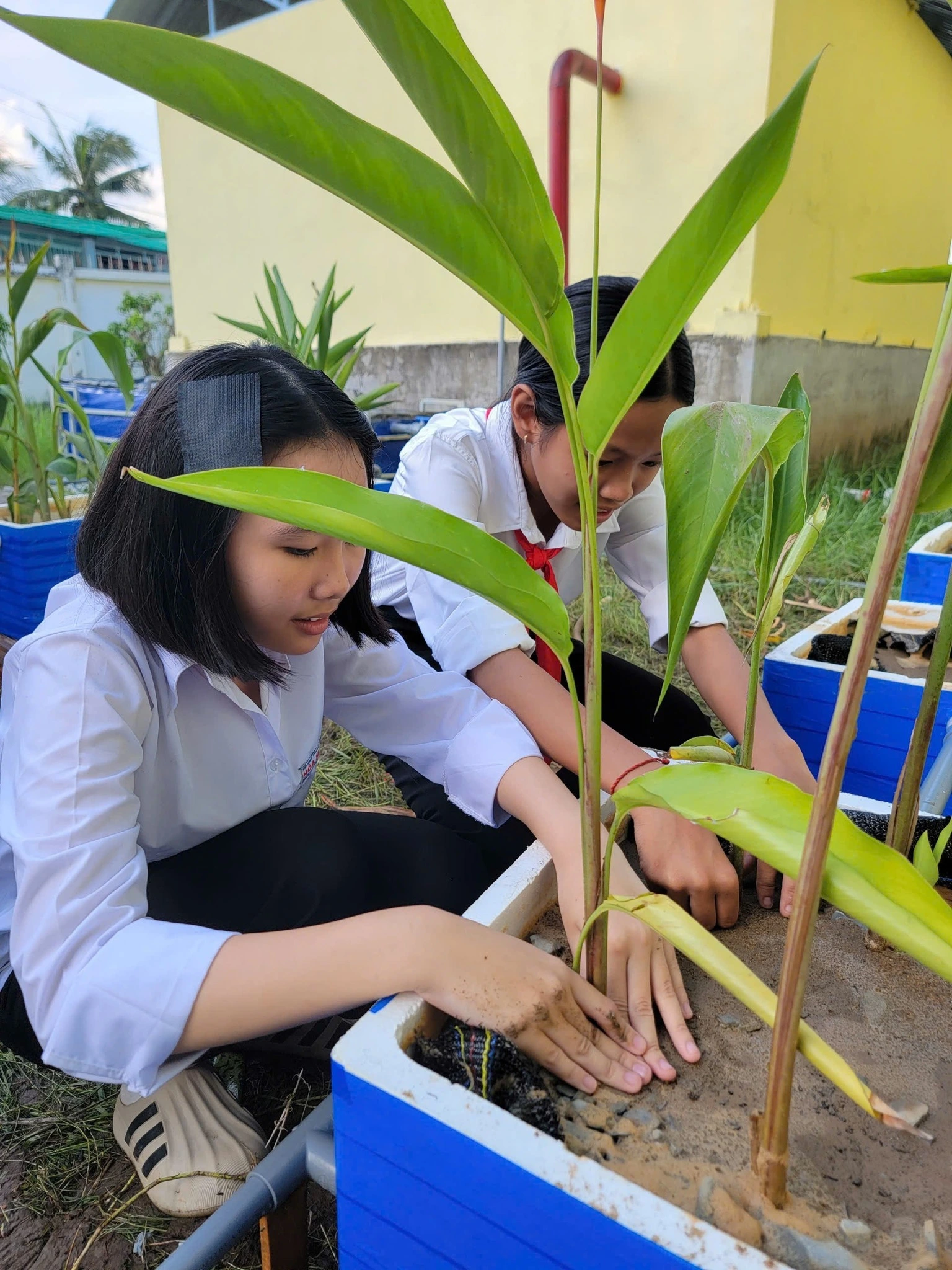 Dự án 01